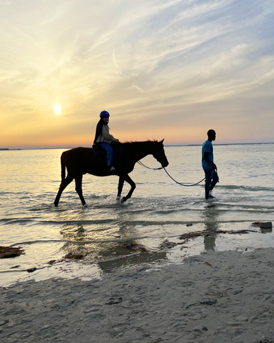 Horse Riding Lesson