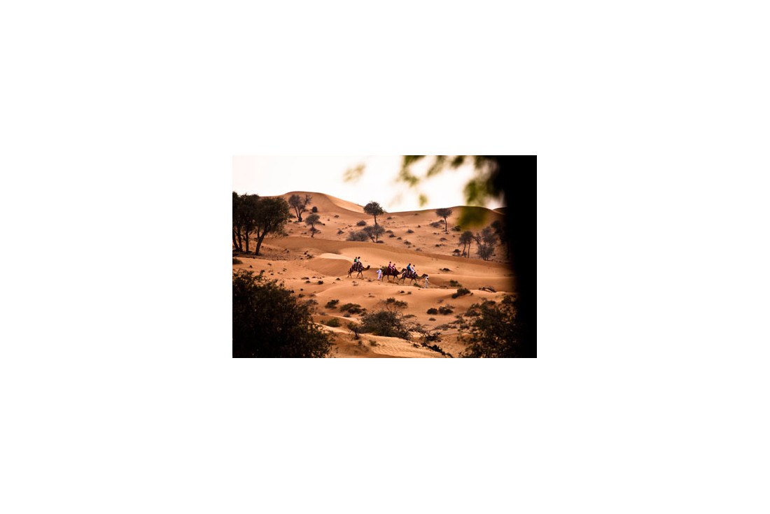 Camel Ride at Banyan Tree Al Wadi