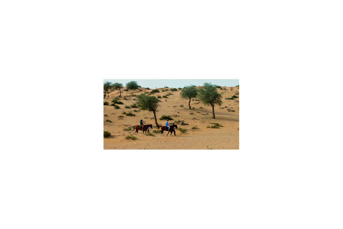 Horse riding at Banyan Tree Al Wadi 