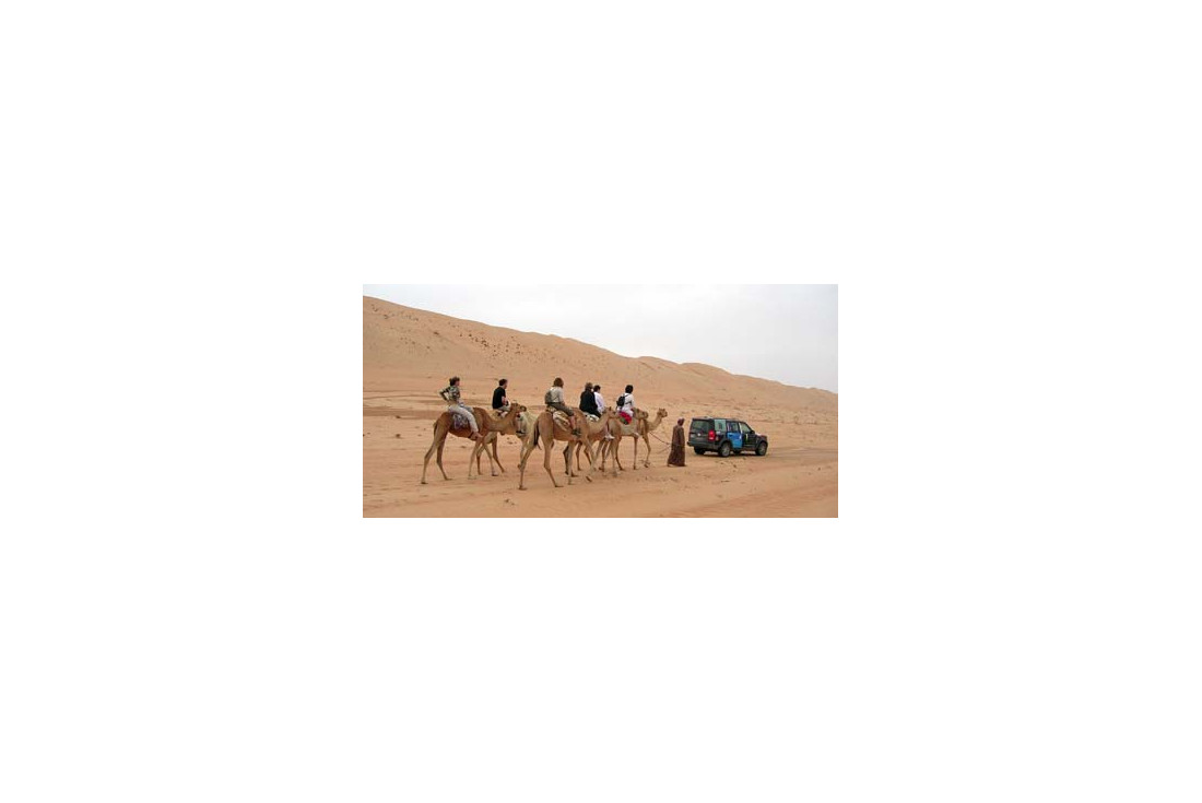 Camel train