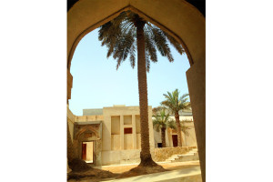 Garden inside the house to provide privacy