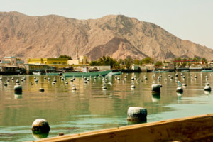 RAK pearl farm