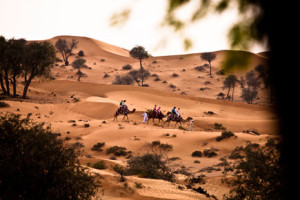 Camel Ride at Banyan Tree Al Wadi