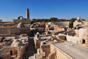 Citadel of Aleppo