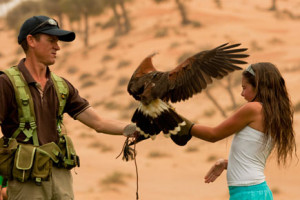 Falconry show at Banyan Tree Al Wadi