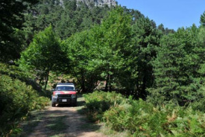 Lr3 off road test succeeded with flying aces