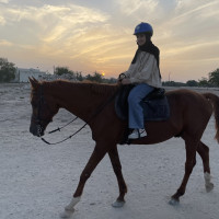 Horse Riding Lesson