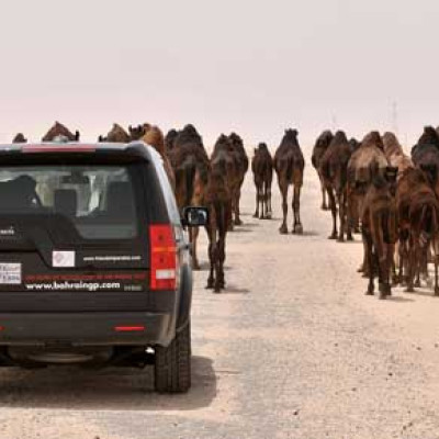 Ali crosses Saudi Arabia 